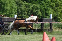 Trainingsturnier-24