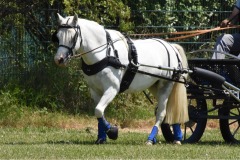 Trainingsturnier-28