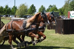 Trainingsturnier-3