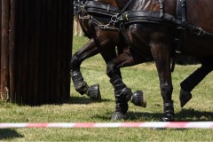 Trainingsturnier-33