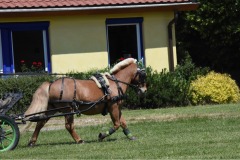 Trainingsturnier-34