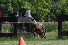 Trainingsturnier-4