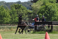 Trainingsturnier-7