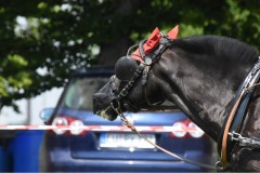 Samstag-12