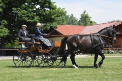 Samstag-3