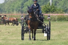 Samstag-9