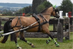 TrainingsTurnier-11
