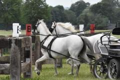 TrainingsTurnier-13