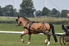TrainingsTurnier-17