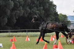 TrainingsTurnier-18