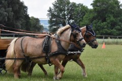 TrainingsTurnier-19
