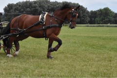 TrainingsTurnier-25