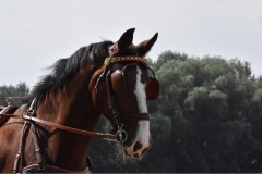 TrainingsTurnier-29