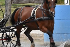TrainingsTurnier-3