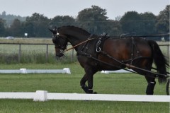 TrainingsTurnier-32