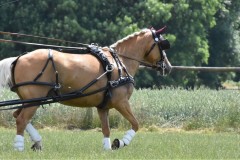 TrainingsTurnier-33