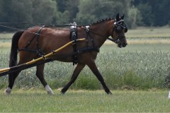 TrainingsTurnier-8