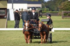WBOSamstag23-16