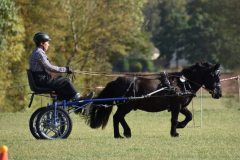 WBOSamstag23-17
