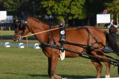 WBOSamstag23-22