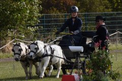 WBOSamstag23-23