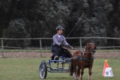 WBOSamstag23-5