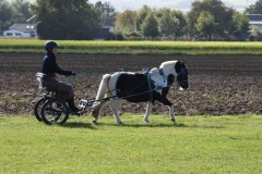 WBOSamstag23-9